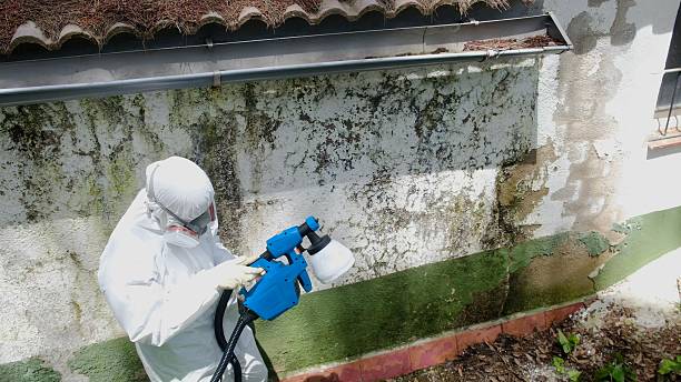 Top rated local Attic Mold Removal specialists in Wakefield, MA